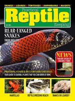 Practical Reptile Keeping
